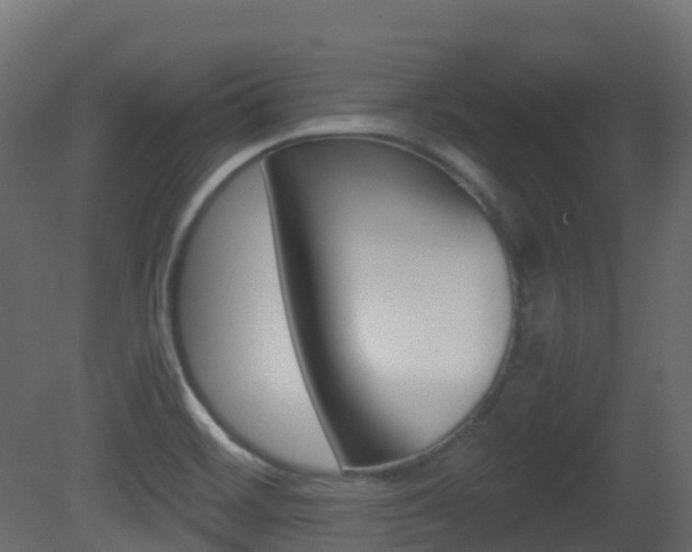 X0000081491468200701121059