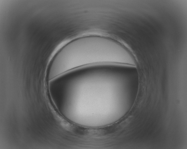 X0000081491469200701121059