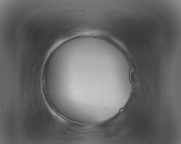X0000081491471200701121059