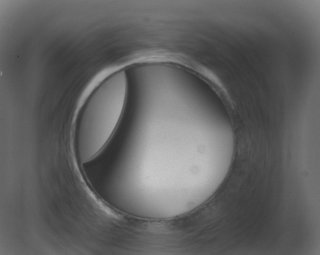 X0000081491472200701121059
