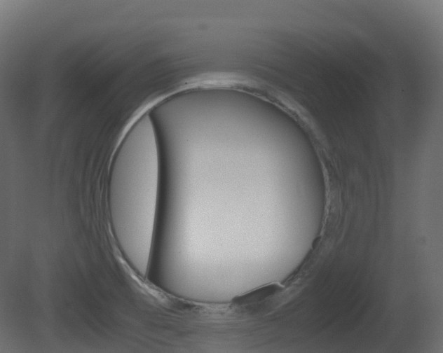 X0000081491473200701121059