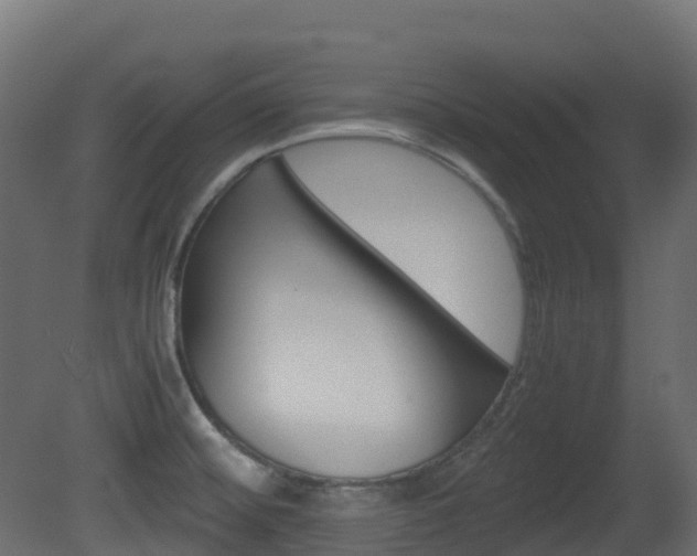 X0000081491476200701121059