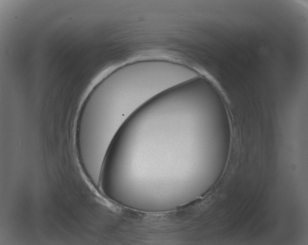 X0000081491477200701121059