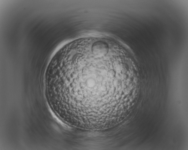 X0000081491479200701121059