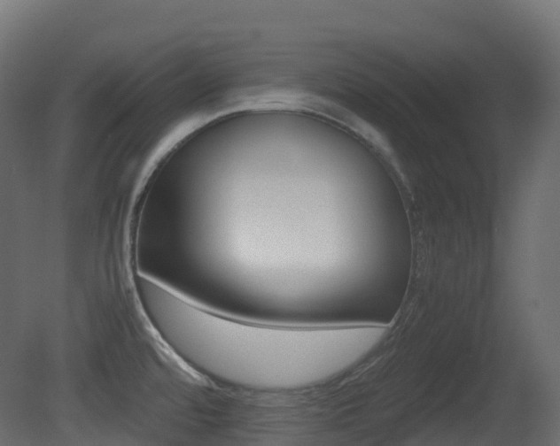 X0000081491480200701121059