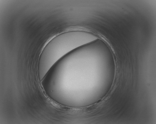 X0000081491481200701121059