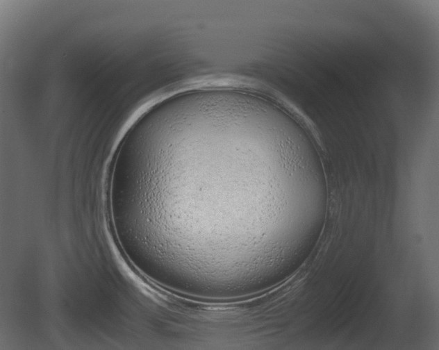 X0000081491483200701121059