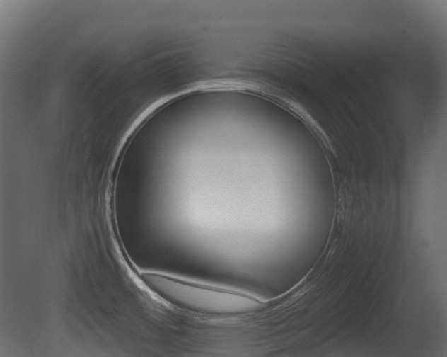 X0000081491484200701121059