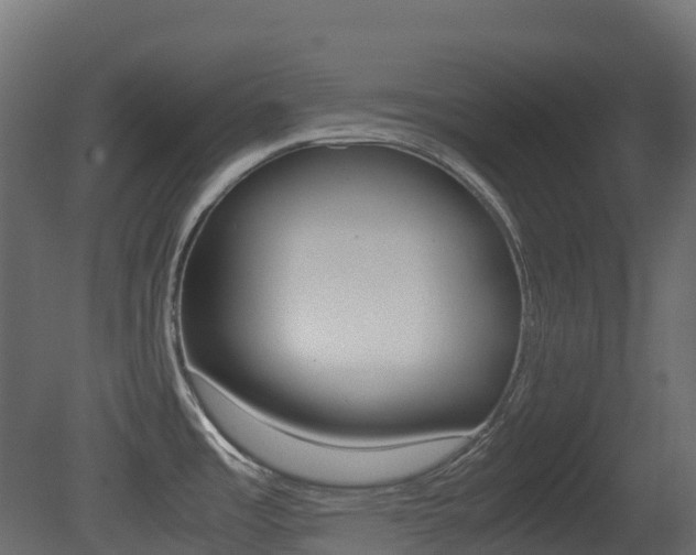 X0000081491485200701121059