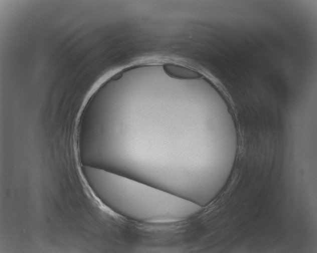 X0000081491486200701121059