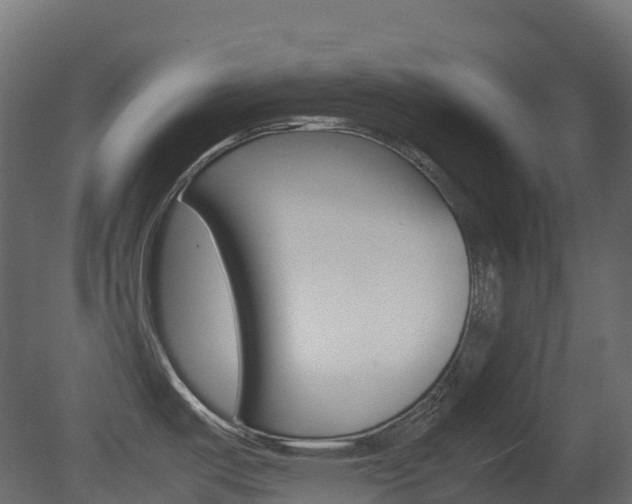 X0000081491487200701121059