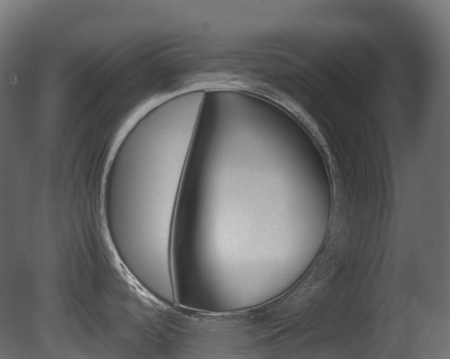 X0000081491488200701121059