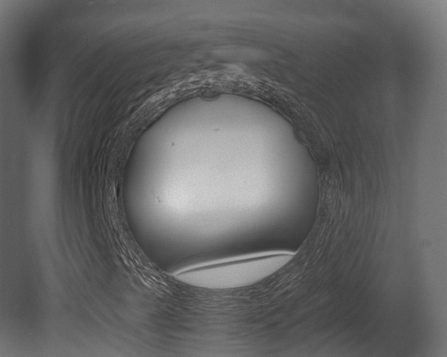 X0000081491489200701121058