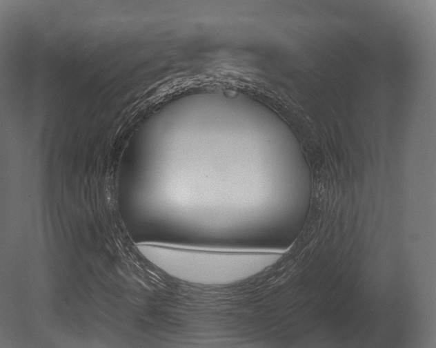 X0000081491490200701121058