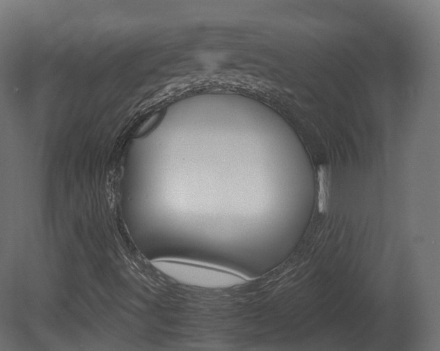 X0000081491491200701121058
