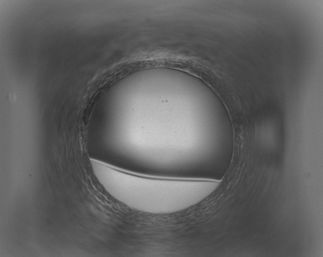 X0000081491493200701121058