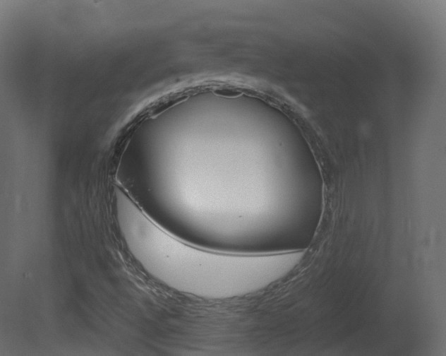 X0000081491496200701121058