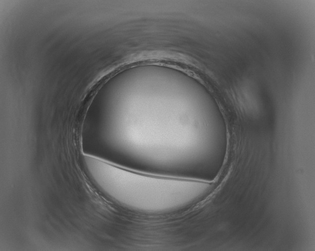 X0000081491497200701121058