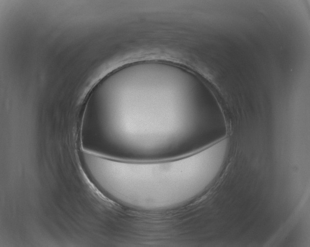 X0000081491500200701121058