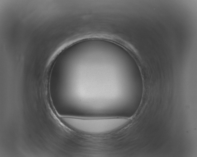 X0000081491504200701121058