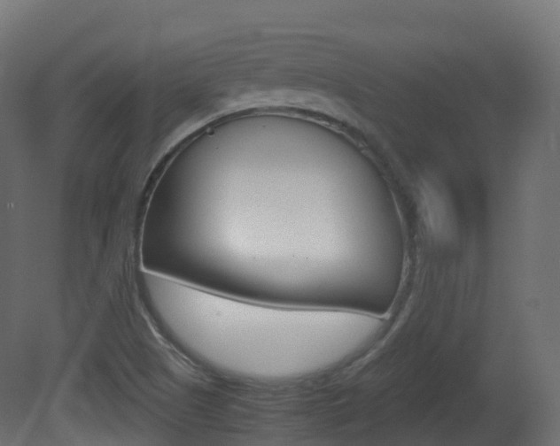 X0000081491505200701121058