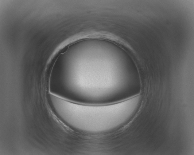 X0000081491506200701121058