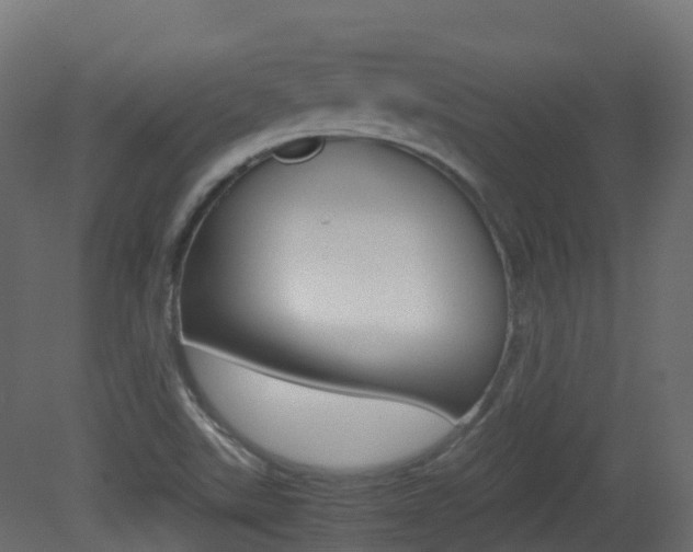 X0000081491507200701121058
