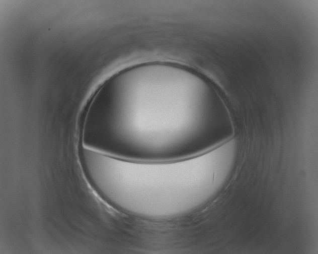 X0000081491508200701121058