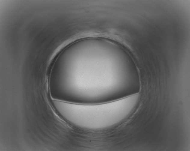 X0000081491509200701121058