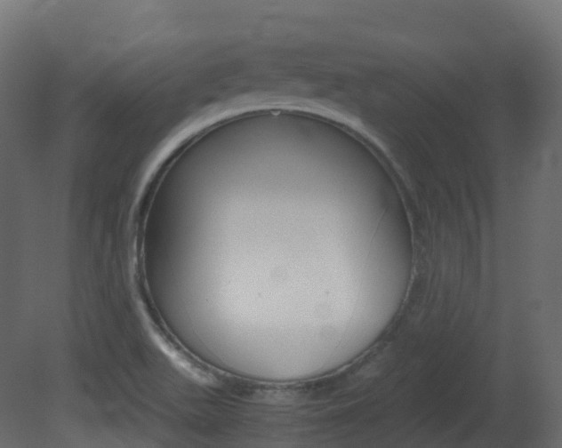 X0000081491511200701121058