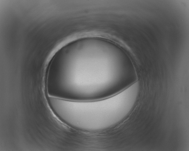 X0000081491512200701121058