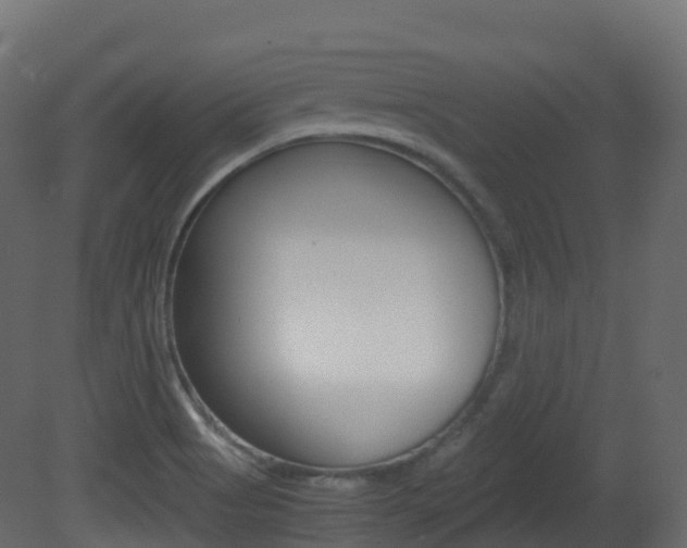 X0000081491513200701121058
