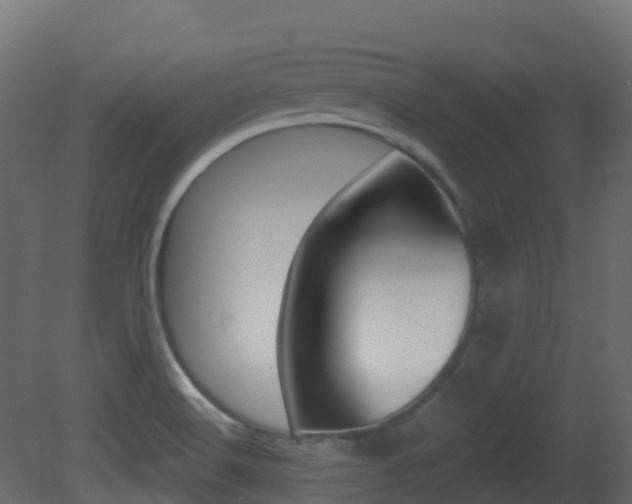 X0000081491516200701121058