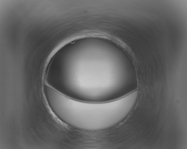 X0000081491520200701121058