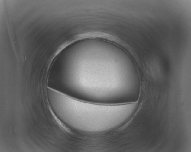 X0000081491521200701121058
