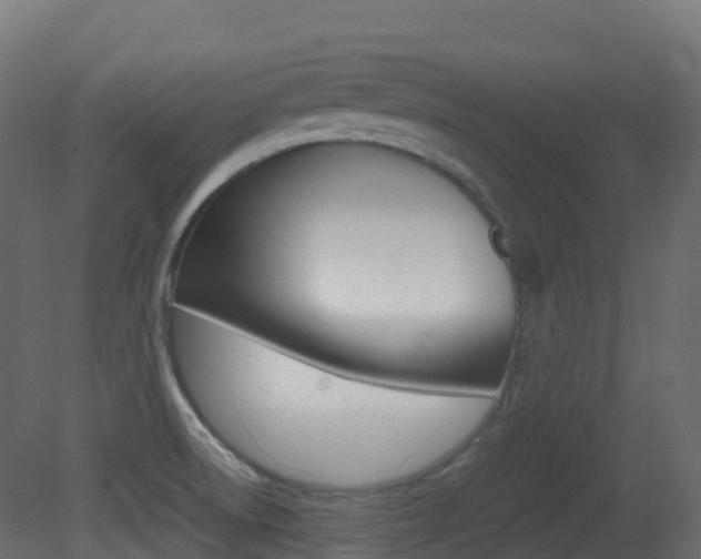 X0000081491522200701121059