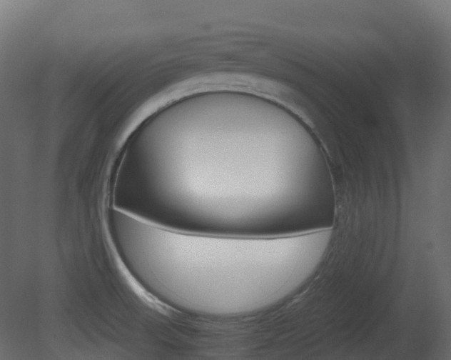 X0000081491523200701121059