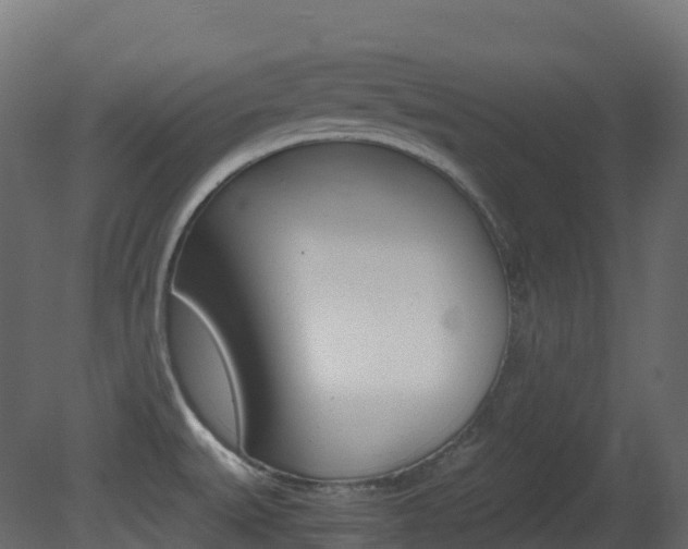 X0000081491527200701121059