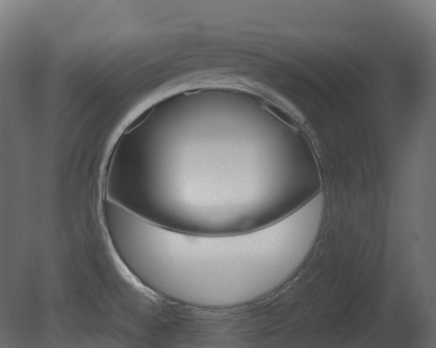 X0000081491528200701121059