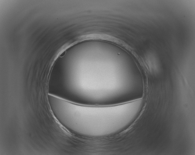 X0000081491529200701121059