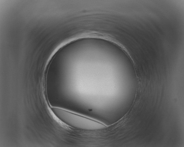 X0000081491531200701121059