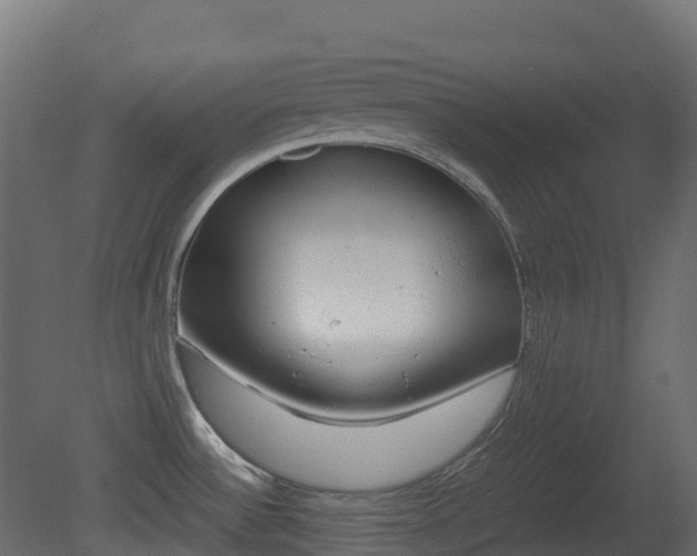 X0000081491532200701121059