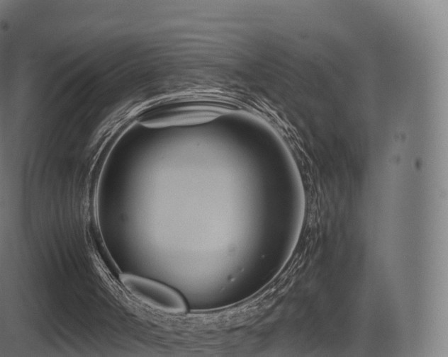 X0000081490002200701121522