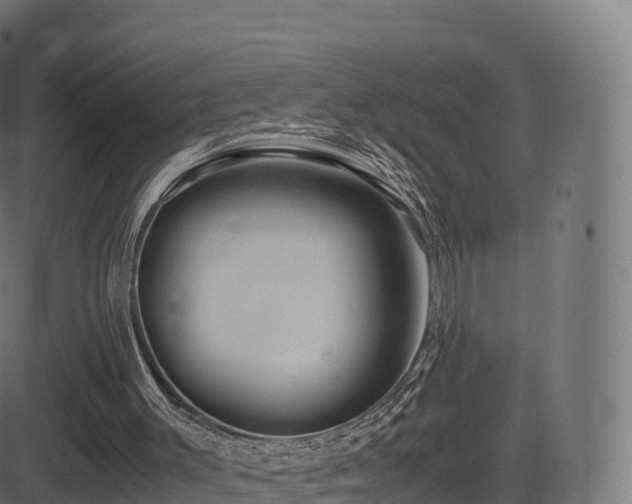 X0000081490003200701121522