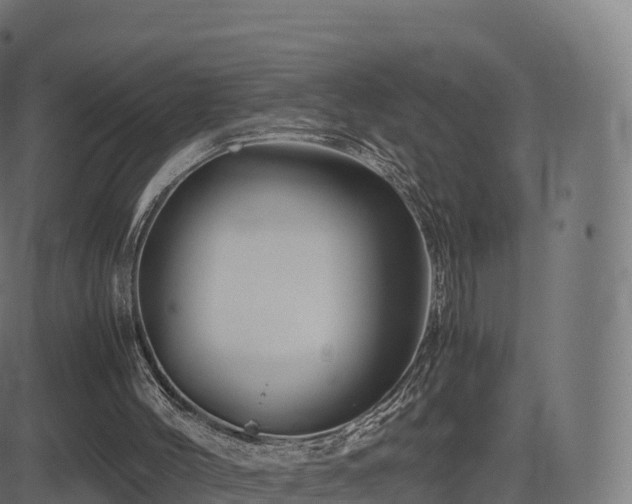 X0000081490004200701121522