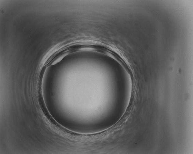 X0000081490007200701121522