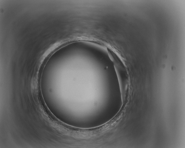 X0000081490008200701121522