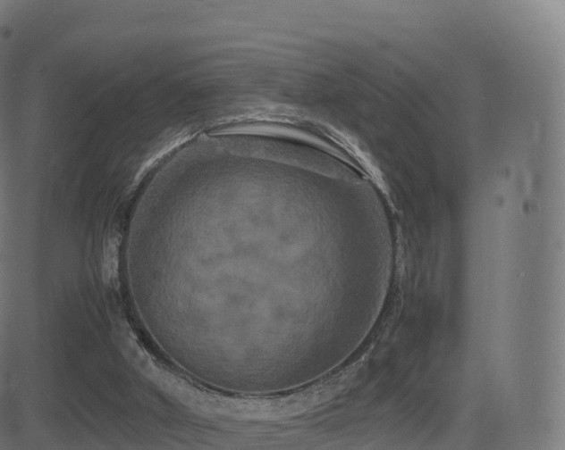 X0000081490010200701121522