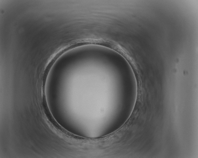 X0000081490011200701121522