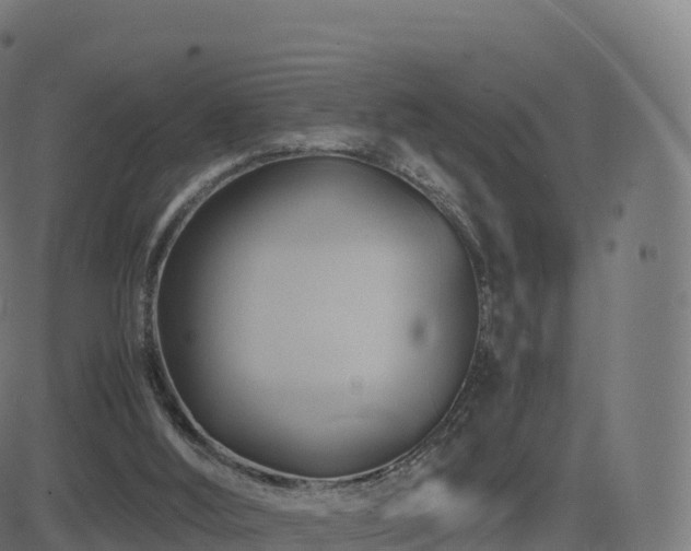 X0000081490012200701121522